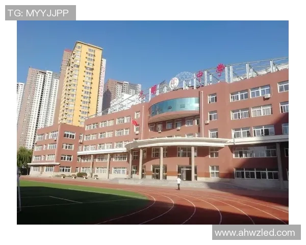 许钟豪的奋斗历程与人生哲学探索:从平凡到卓越的成长之路 许钟豪的奋斗历程与人生哲学探索:从平凡到卓越的成长之路