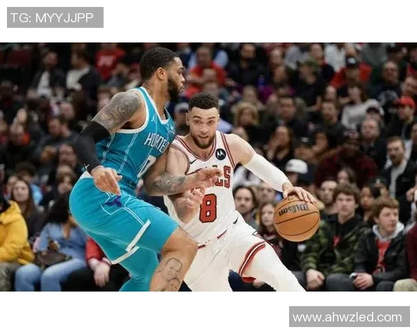 老鹰与黄蜂激战回顾精彩瞬间与经典对决全记录