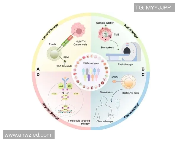 007与载体连接的精彩对决探秘与技术解析
