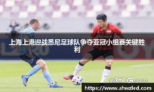 6686体育官方网站